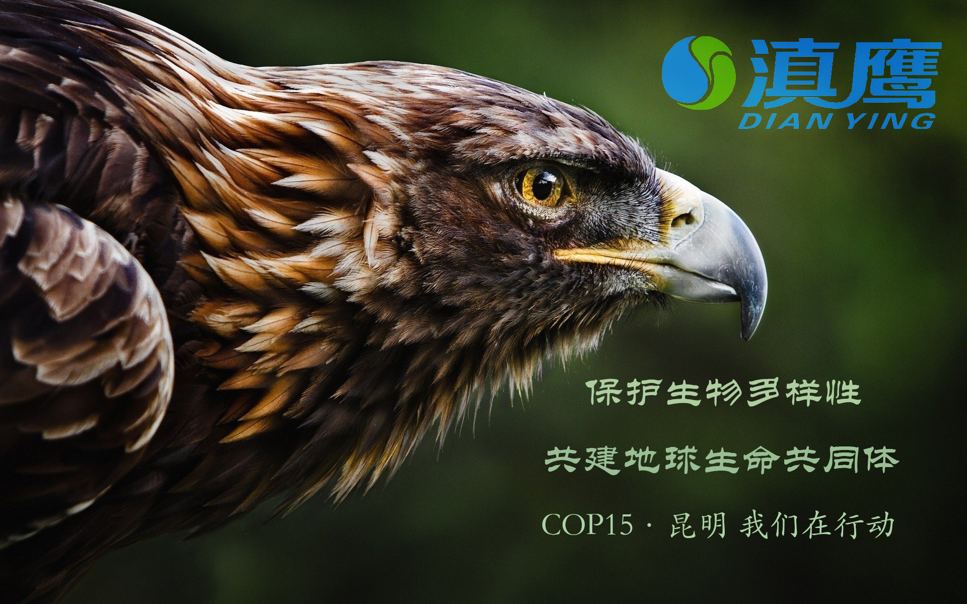 讓綠水青山永續(xù)，讓美麗持續(xù)綻放